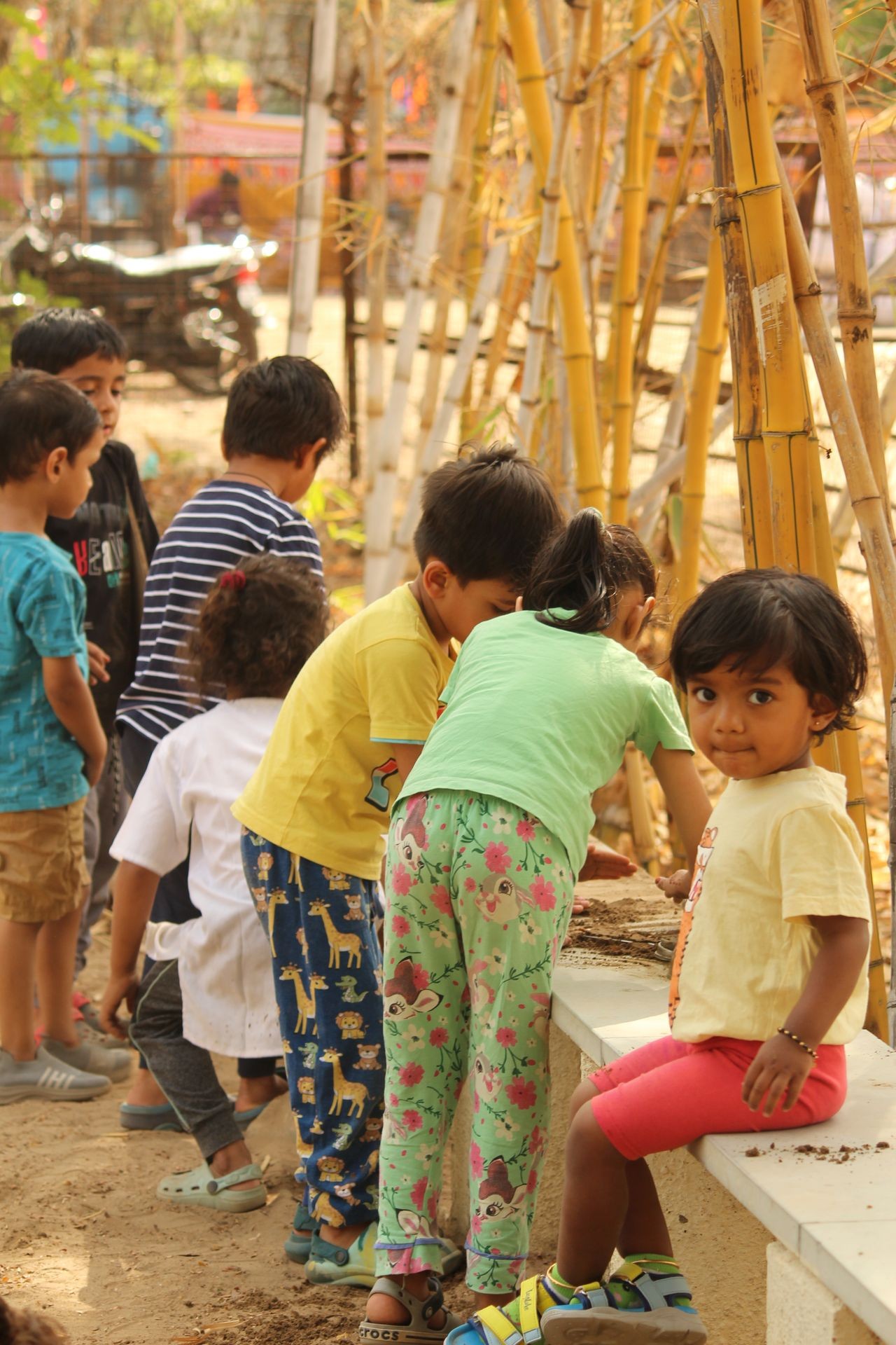 Group of children playing near bamboo plants in a playground under sunlight.